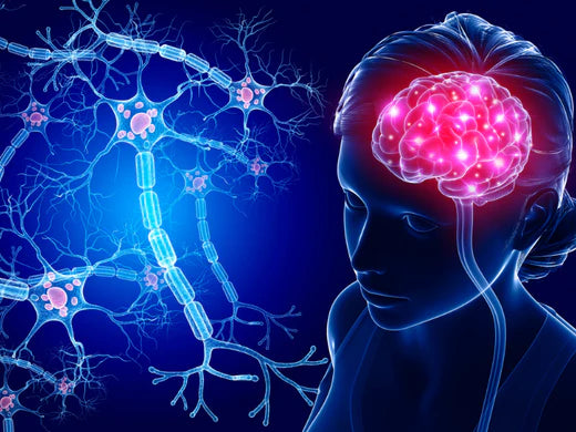 Uçucu Yağlar Sinir Sisteminizi Etkiliyor