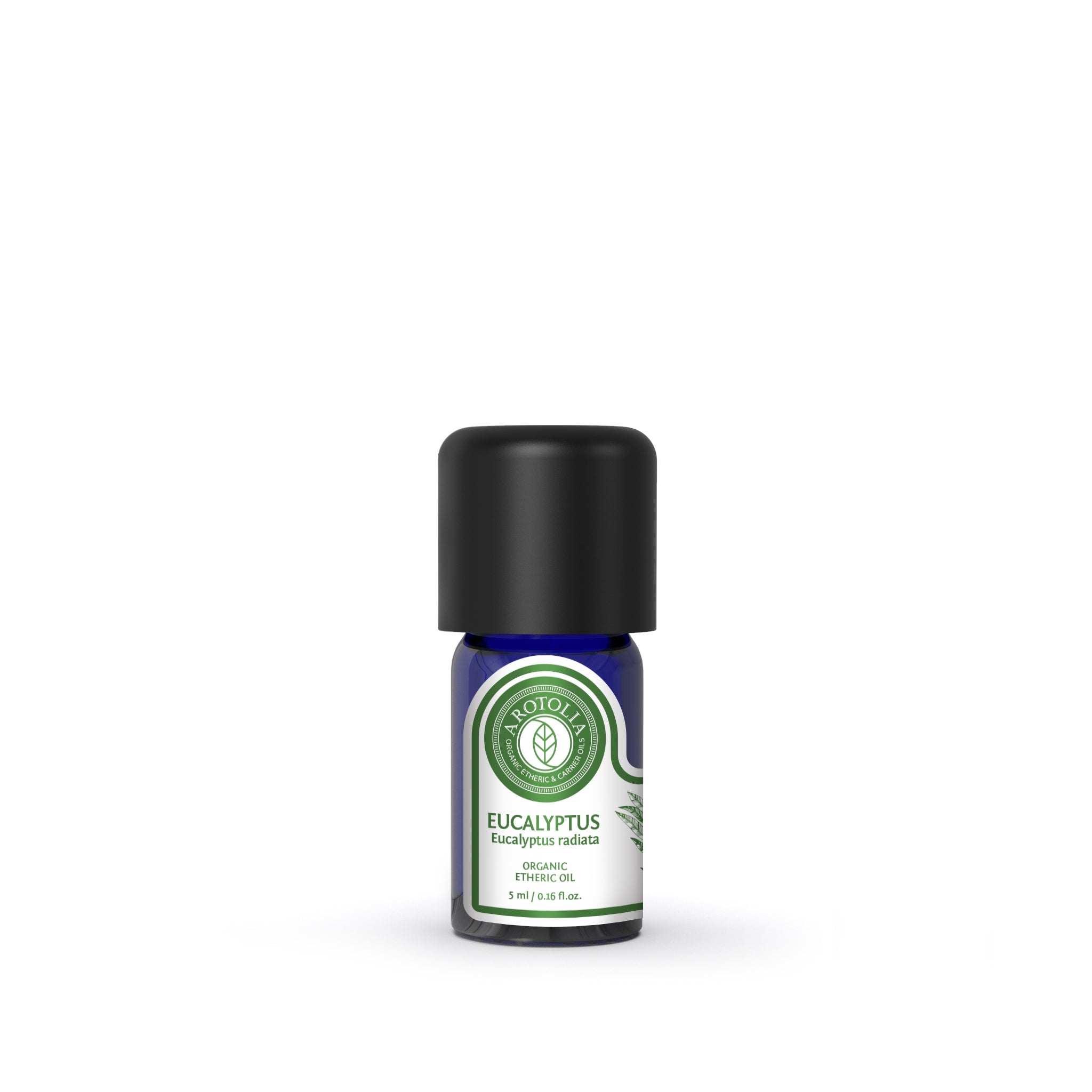 EUCALYPTUS RADIATA ESSENTIAL OIL